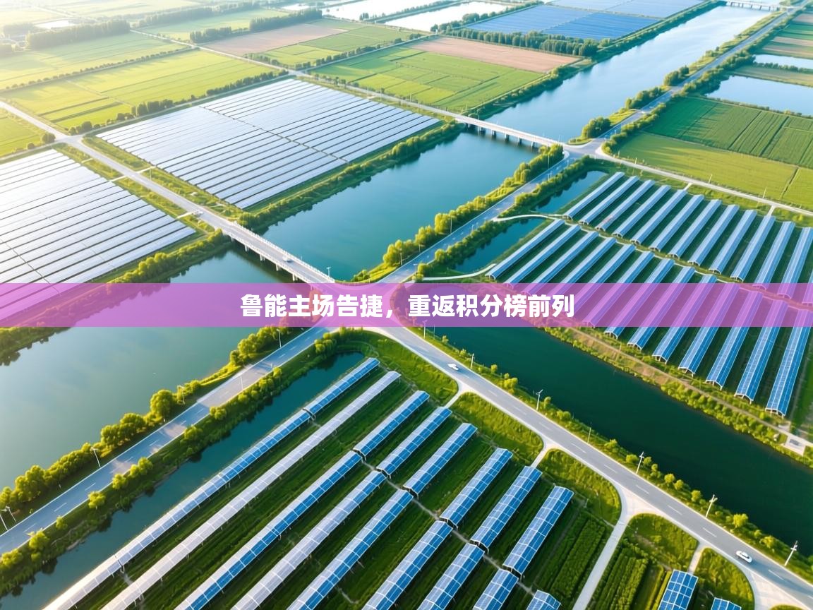 鲁能主场告捷，重返积分榜前列