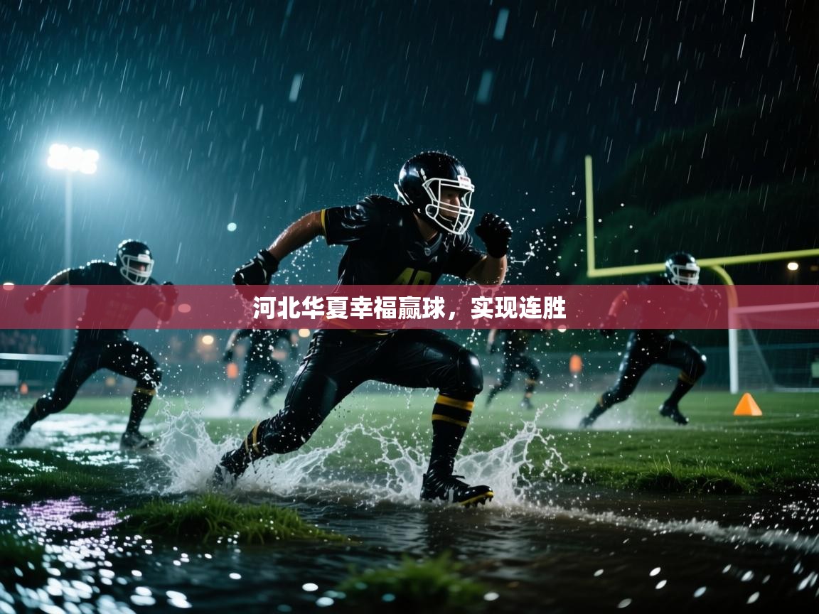 河北华夏幸福赢球,实现连胜 第2张