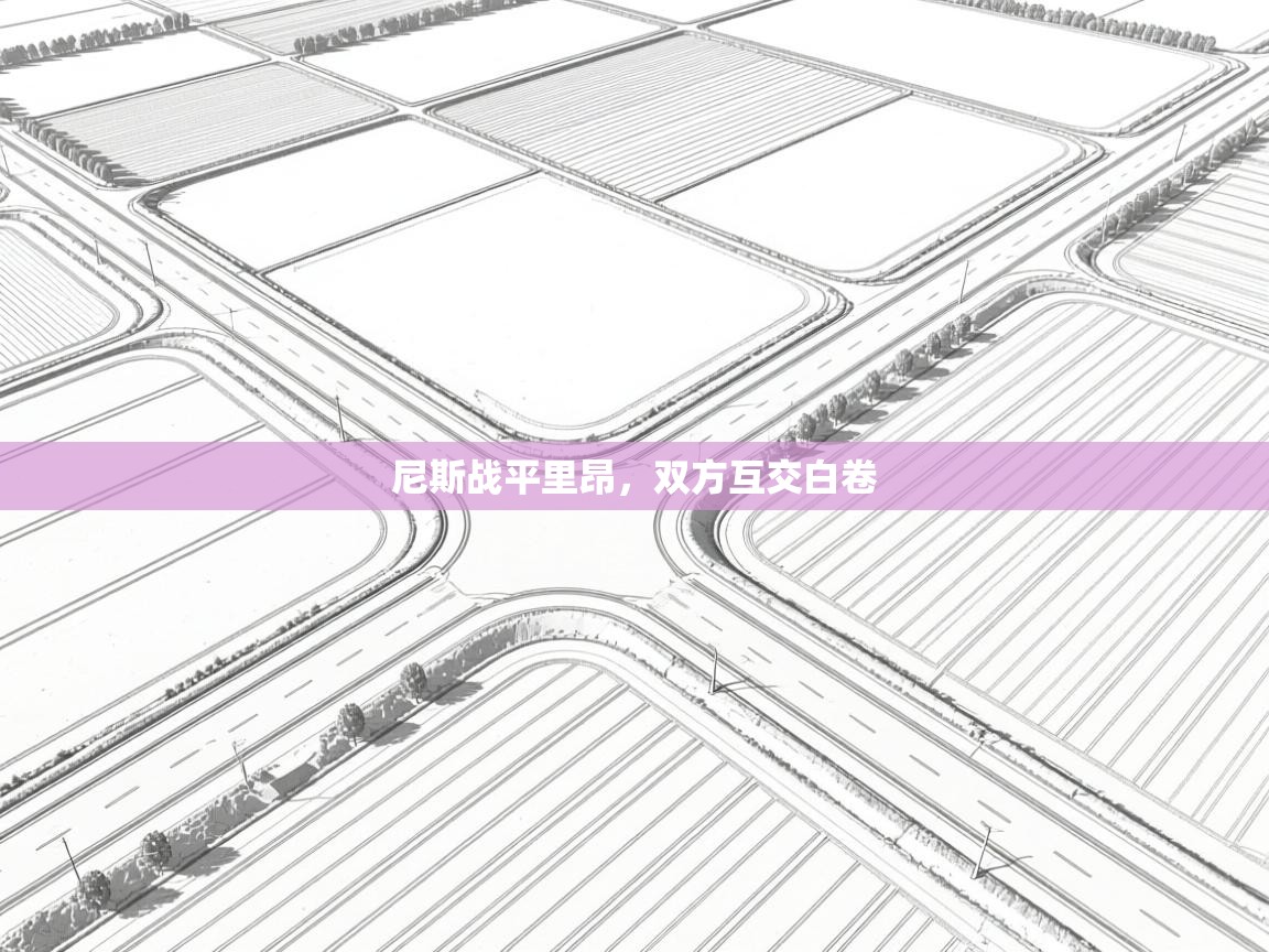 尼斯战平里昂，双方互交白卷  第2张